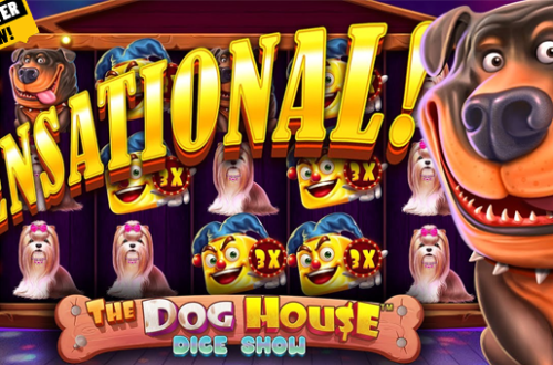 Slot Pragmatic Play The Dog House Dice Show – Aksi Dadu Anjing Nakal yang Siap Meledakkan Jackpot!