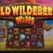 Slot Wild Wildebeest Wins: LAGI VIRAL! Banyak yang Auto Cuan!